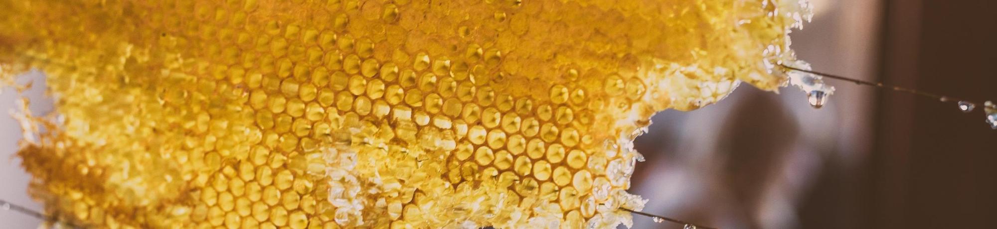 honey